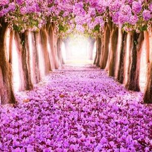 Meet your Posher, Marisa